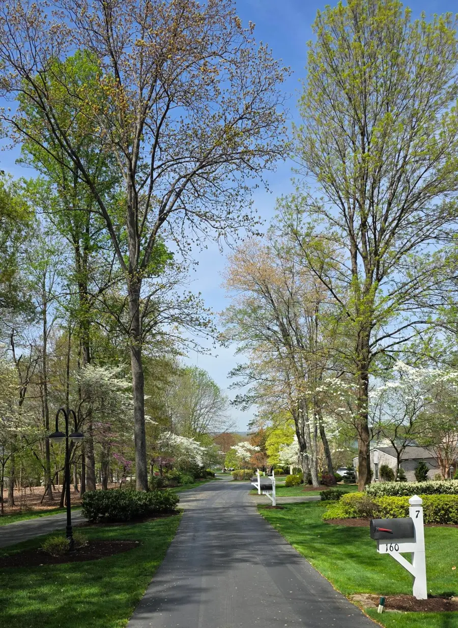 253 Island Green Dr, Penhook, VA 24137 - #2