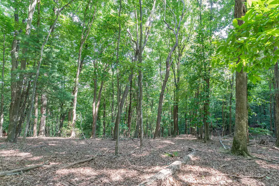 Lot 33 Windridge Pkwy, Hardy, VA 24101 - #2