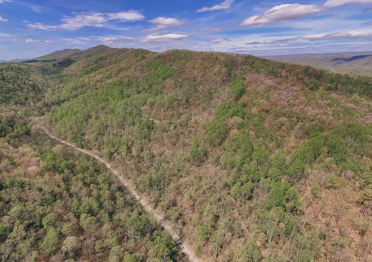 0 Sugar Tree Hollow Rd, Eagle Rock, VA 24085 - #1