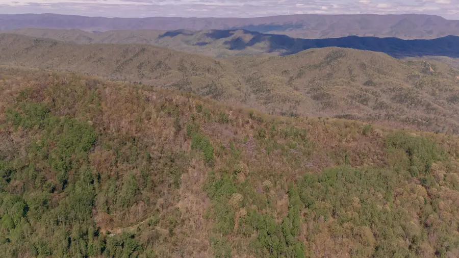 0 Sugar Tree Hollow Rd, Eagle Rock, VA 24085 - #3