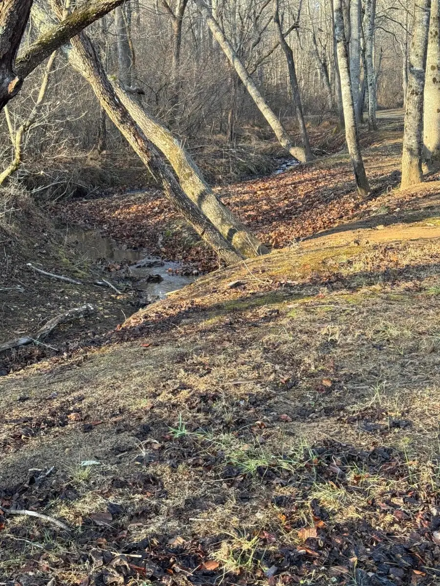 Lot 4 Sunny Seven Dr, Rocky Mount, VA 24151 - #2