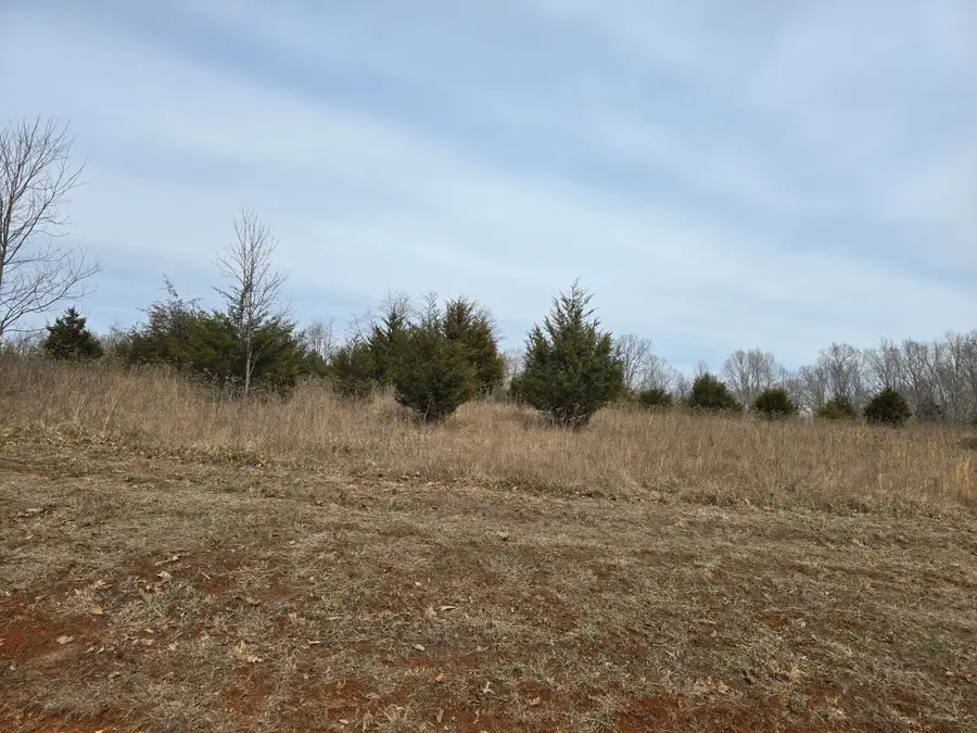 Lot 16 Robin Ridge Ct, Pittsville, VA 24139 - #3