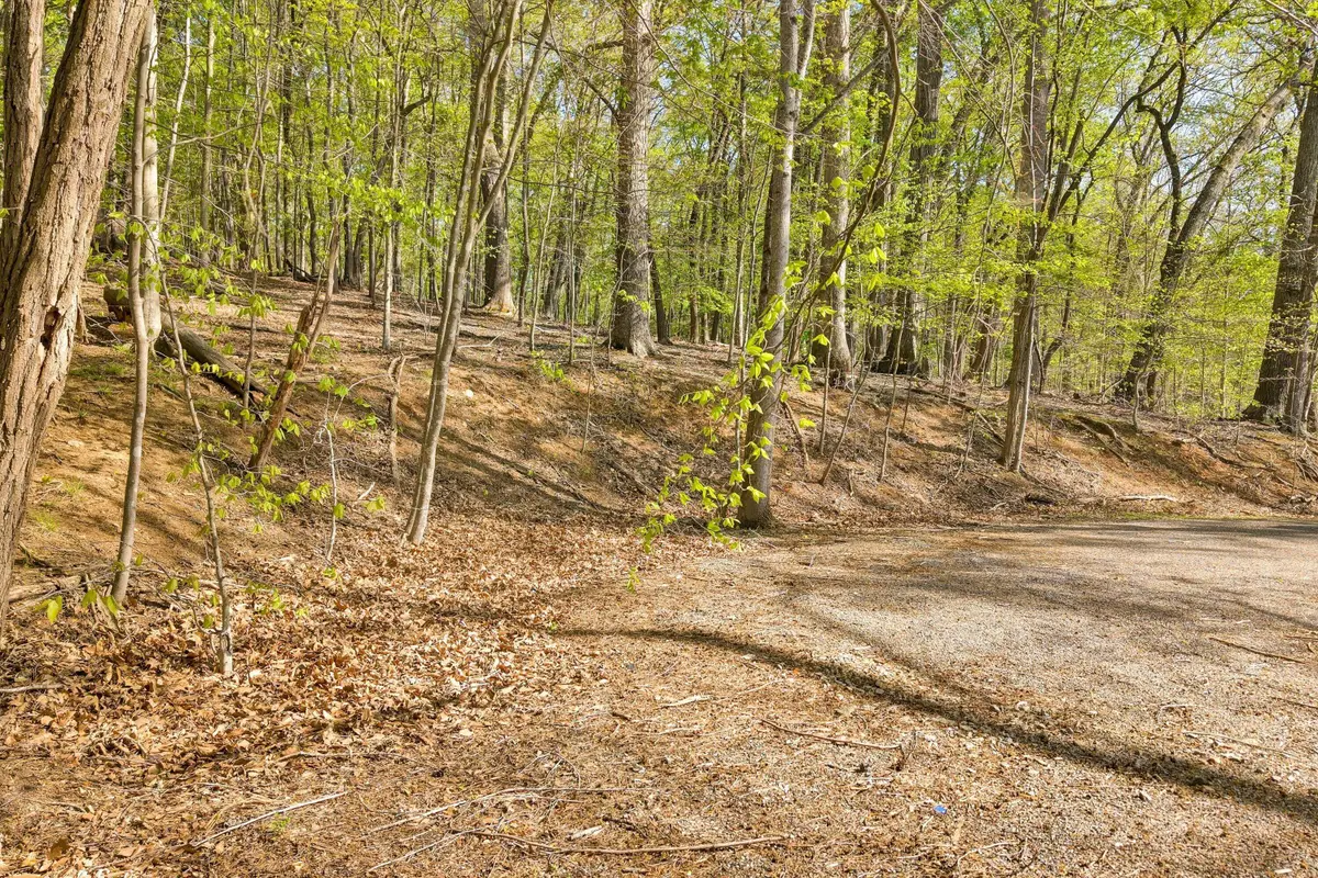 Lot 43 Old Barn Rd, Moneta, VA 24121 - #1