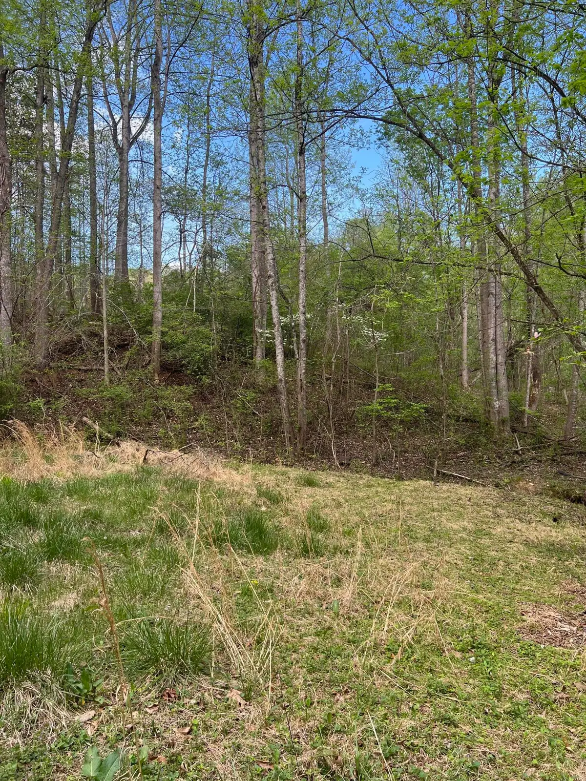 332 Terrace Rd, Boones Mill, VA 24065 - #1