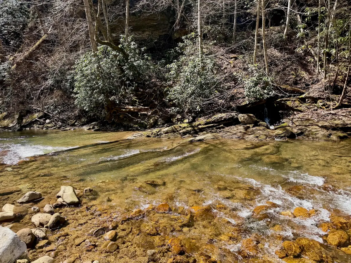 0 Greens Chapel Ln, Dungannon, VA 24245 - #1