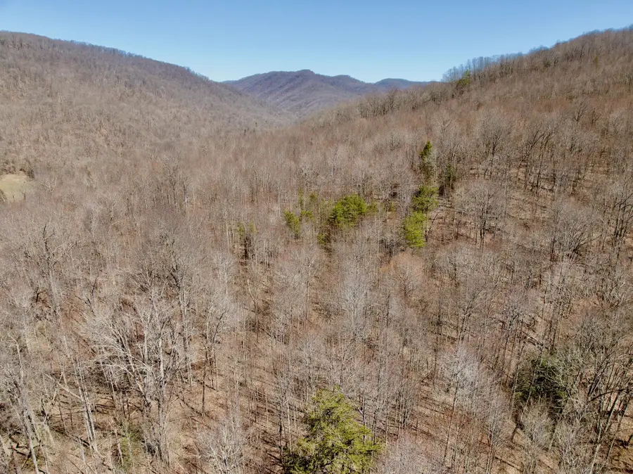 0 Greens Chapel Ln, Dungannon, VA 24245 - #3