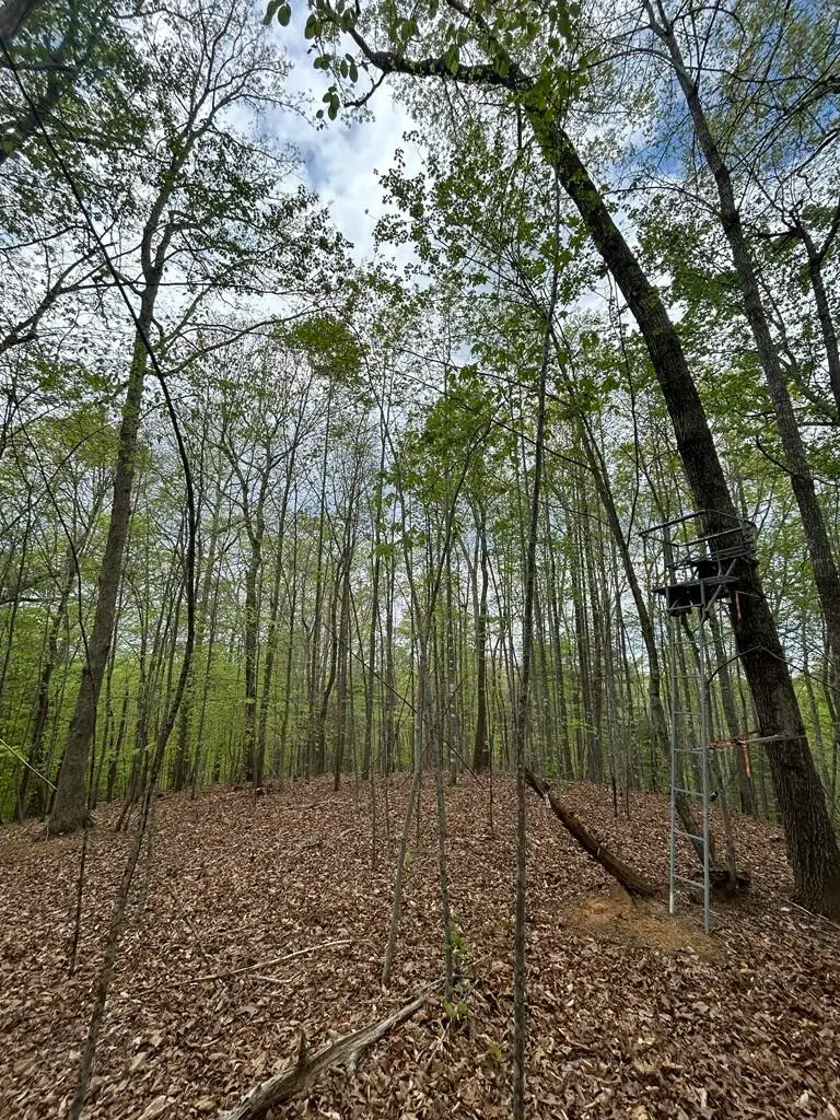 0 Mockingbird Ln, Bassett, VA 24055 - #1