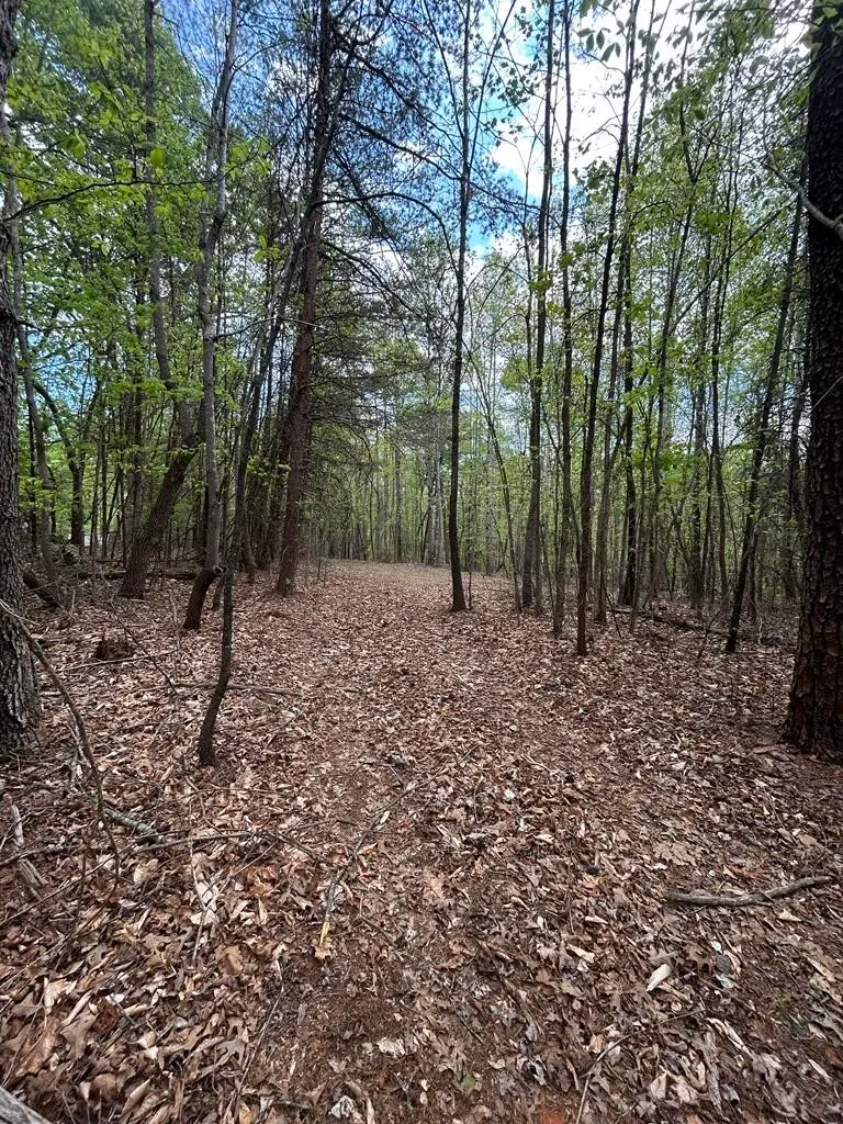 0 Mockingbird Ln, Bassett, VA 24055 - #2