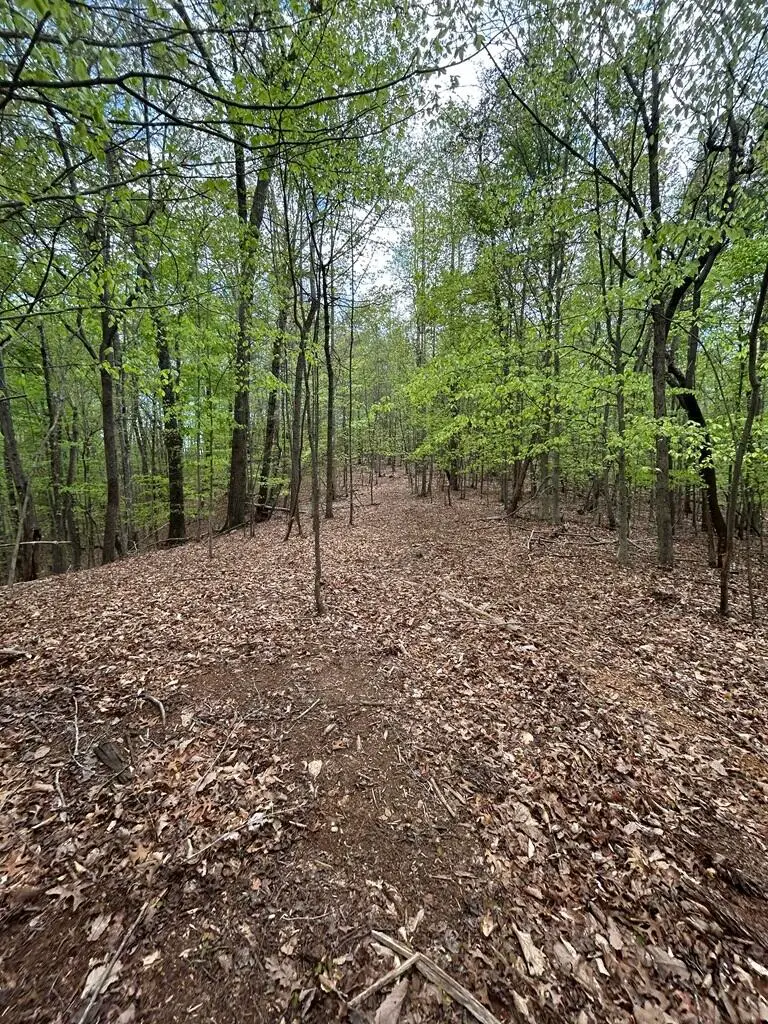 0 Mockingbird Ln, Bassett, VA 24055 - #3