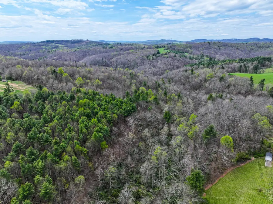 311 Dan River Rd, Meadows Of Dan, VA 24120 - #2