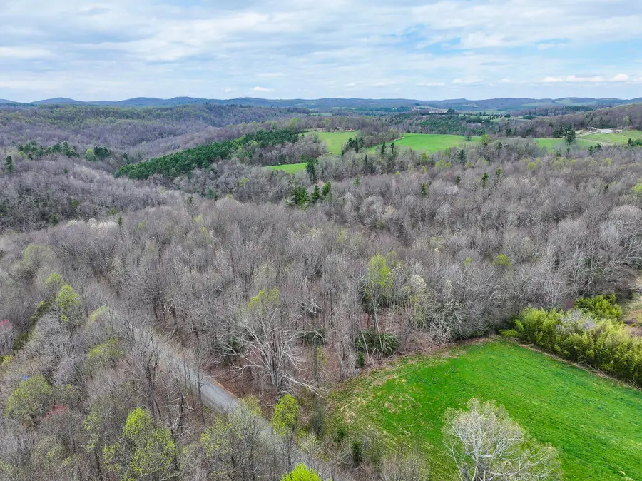 311 Dan River Rd, Meadows Of Dan, VA 24120 - #3
