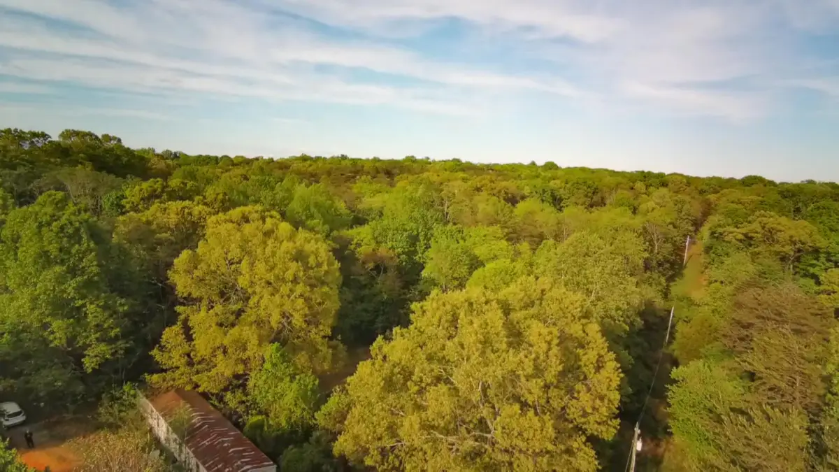 1315 Penn Hollow Rd, Moneta, VA 24121 - #1