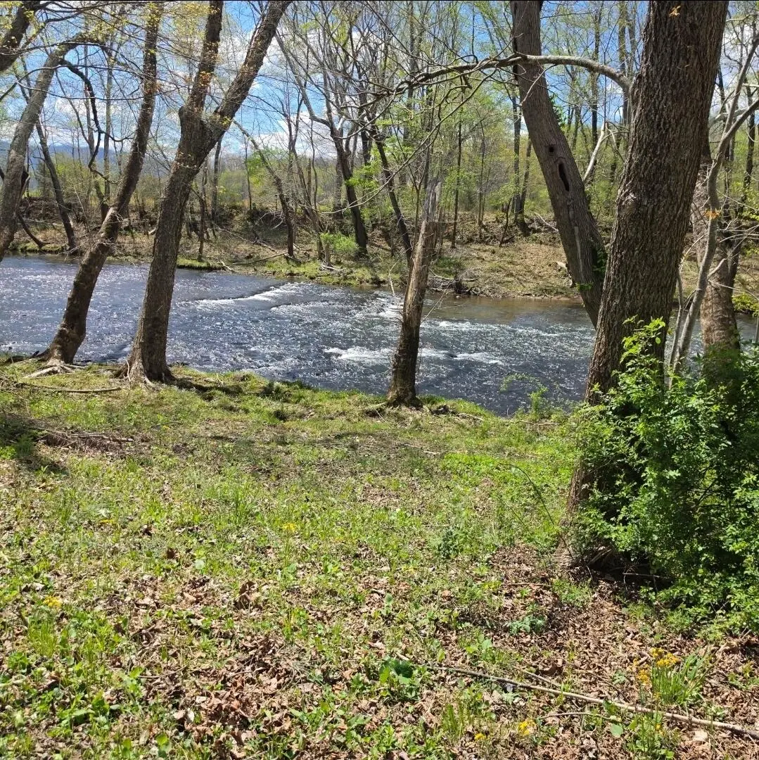 Lot 36 Craig Ck, Meadows Of Craig, New Castle, VA 24127 - #1