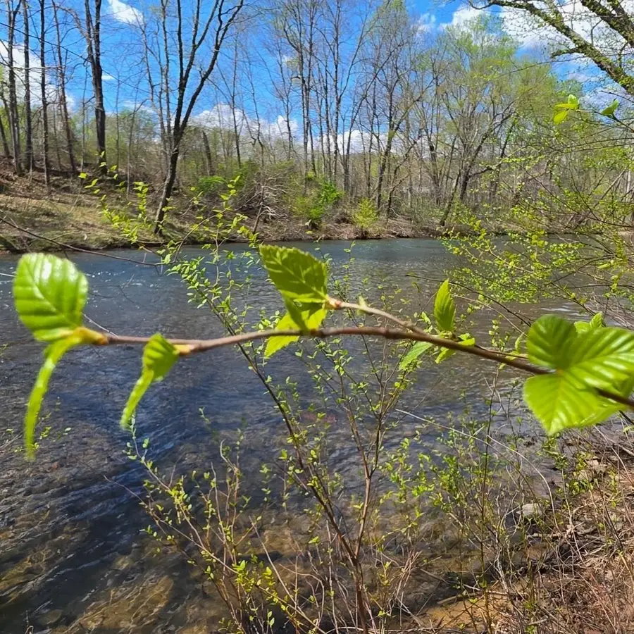 Lot 36 Craig Ck, Meadows Of Craig, New Castle, VA 24127 - #2