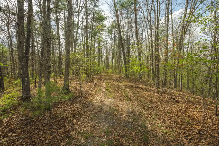 TBD Whip-poor Will Hollow Rd, Warm Springs, VA 24484 - #2