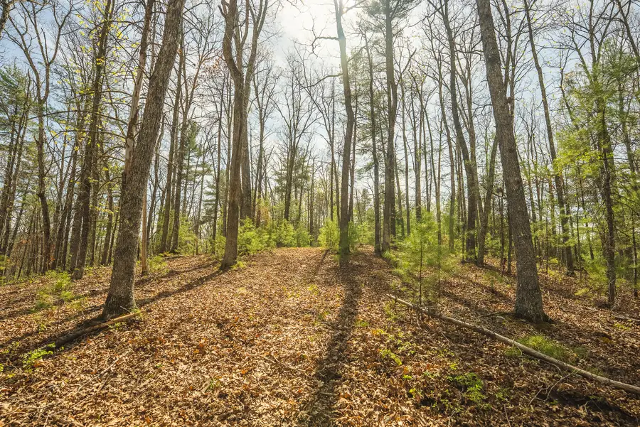 TBD Whip-poor Will Hollow Rd, Warm Springs, VA 24484 - #3