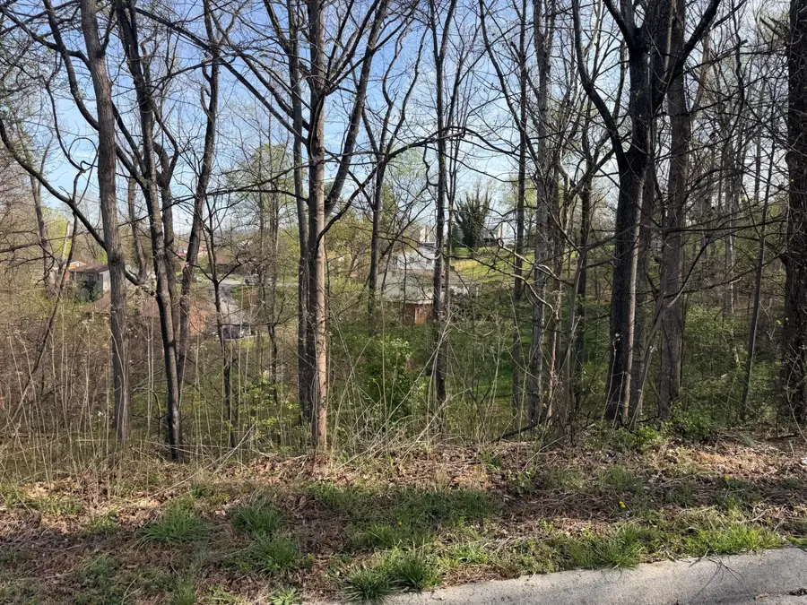 1813 Parker Ln, Vinton, VA 24179 - #2