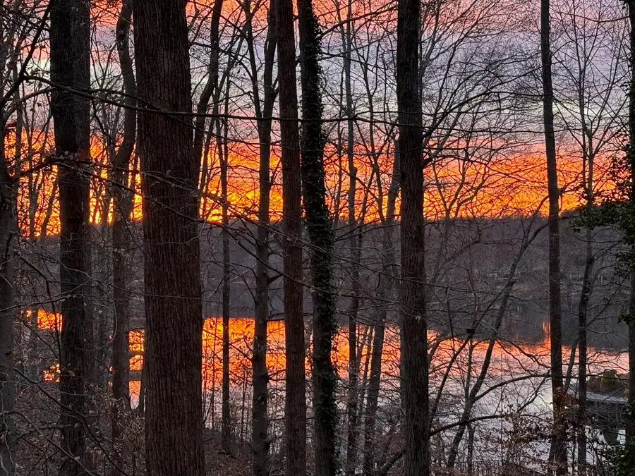 Lot 5 Carlos Rd, Union Hall, VA 24176 - #2