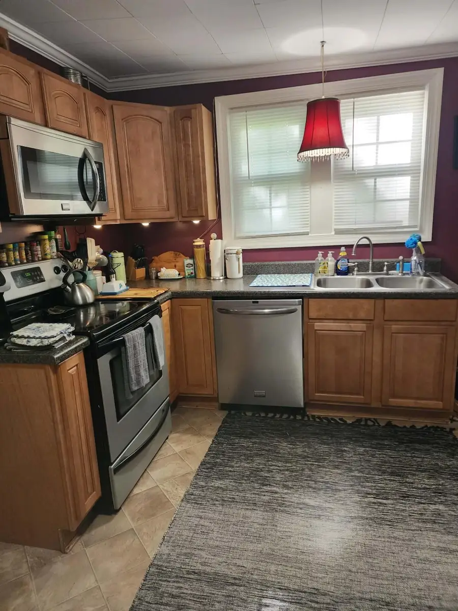 40 River Rd, Buchanan, VA 24066 - #3