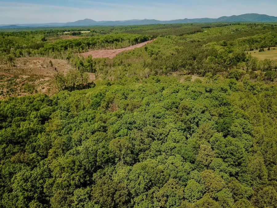 0 Hardy Rd, Hardy, VA 24101 - #3