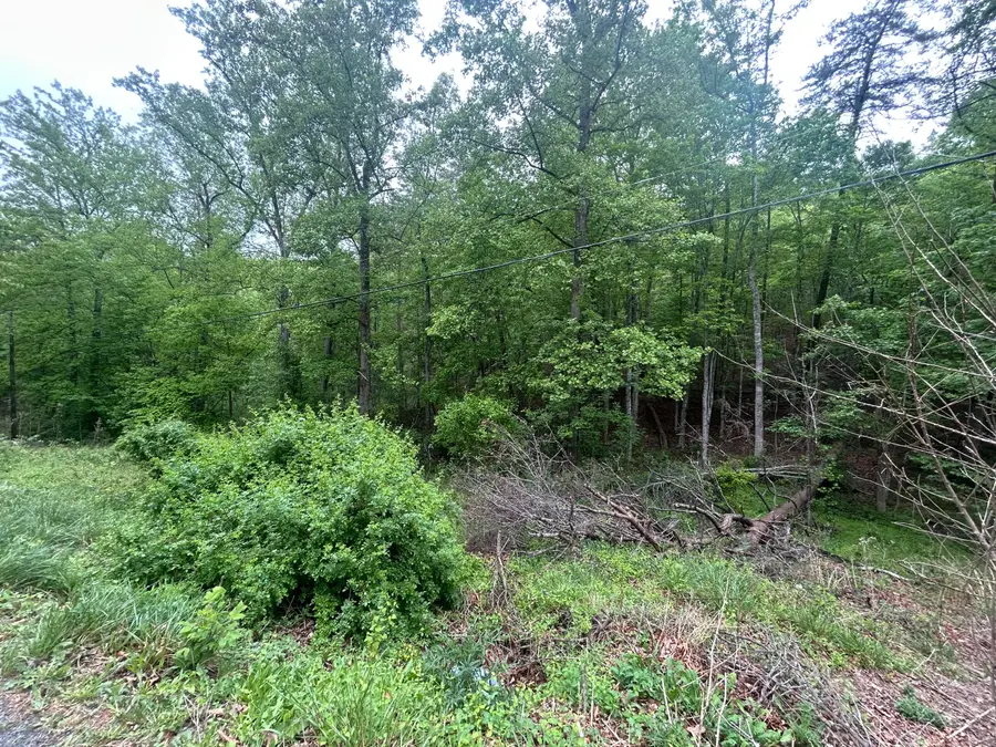 0 Timberview Rd, Roanoke, VA 24019 - #3