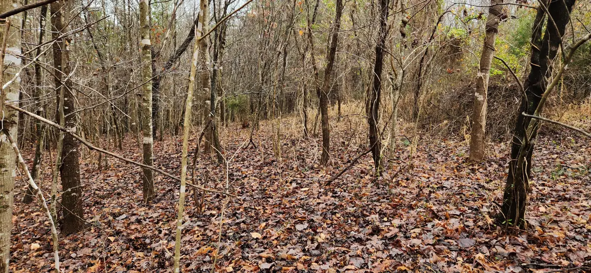 LOT 6 Brooks Mill Rd, Glade Hill, VA 24092 - #1