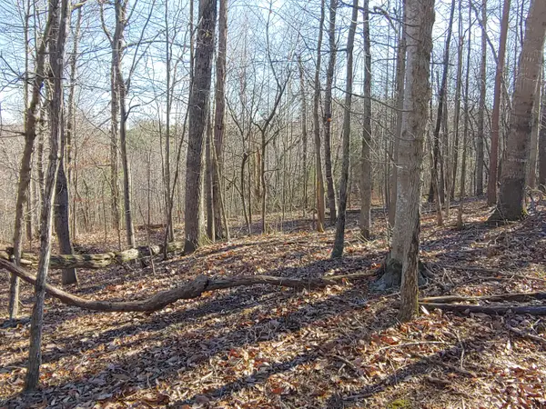 LOT 1 Truman Hill Rd, Hardy, VA 24101