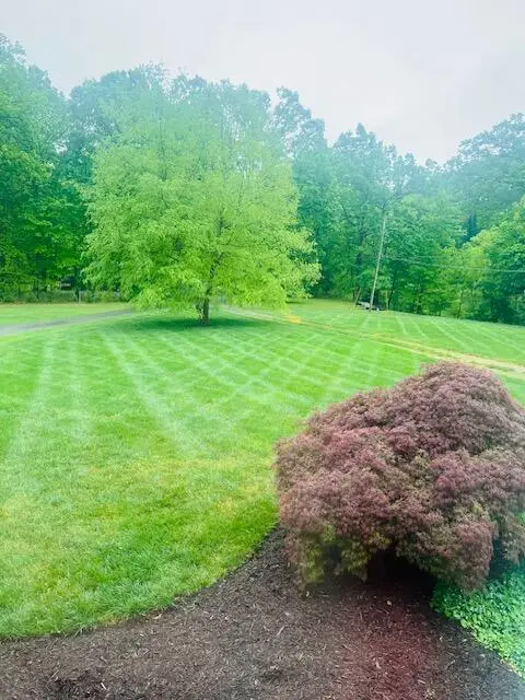 1365 Lilac Ln, Salem, VA 24153 - #3