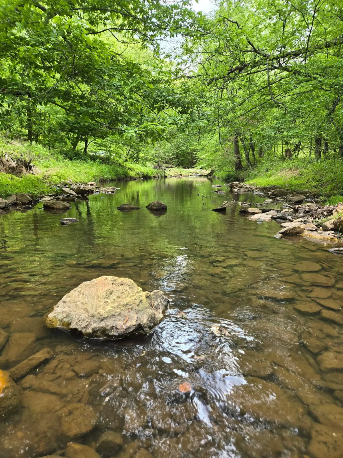 0 Webster Rd, Glade Hill, VA 24092 - #1