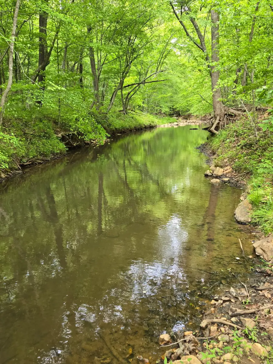 0 Webster Rd, Glade Hill, VA 24092 - #3