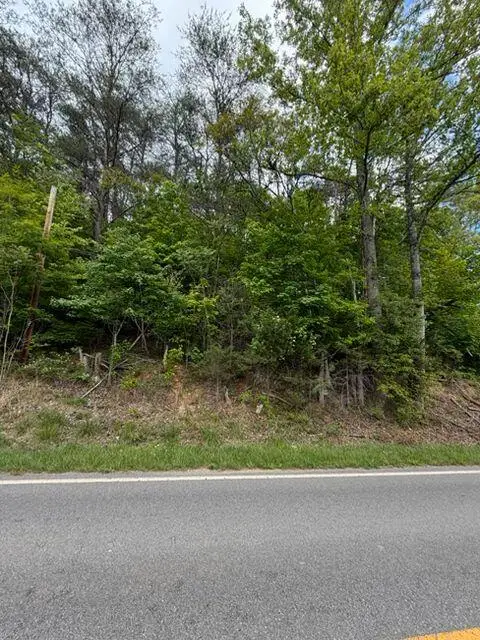 0 Grassy Hill Rd, Boones Mill, VA 24065