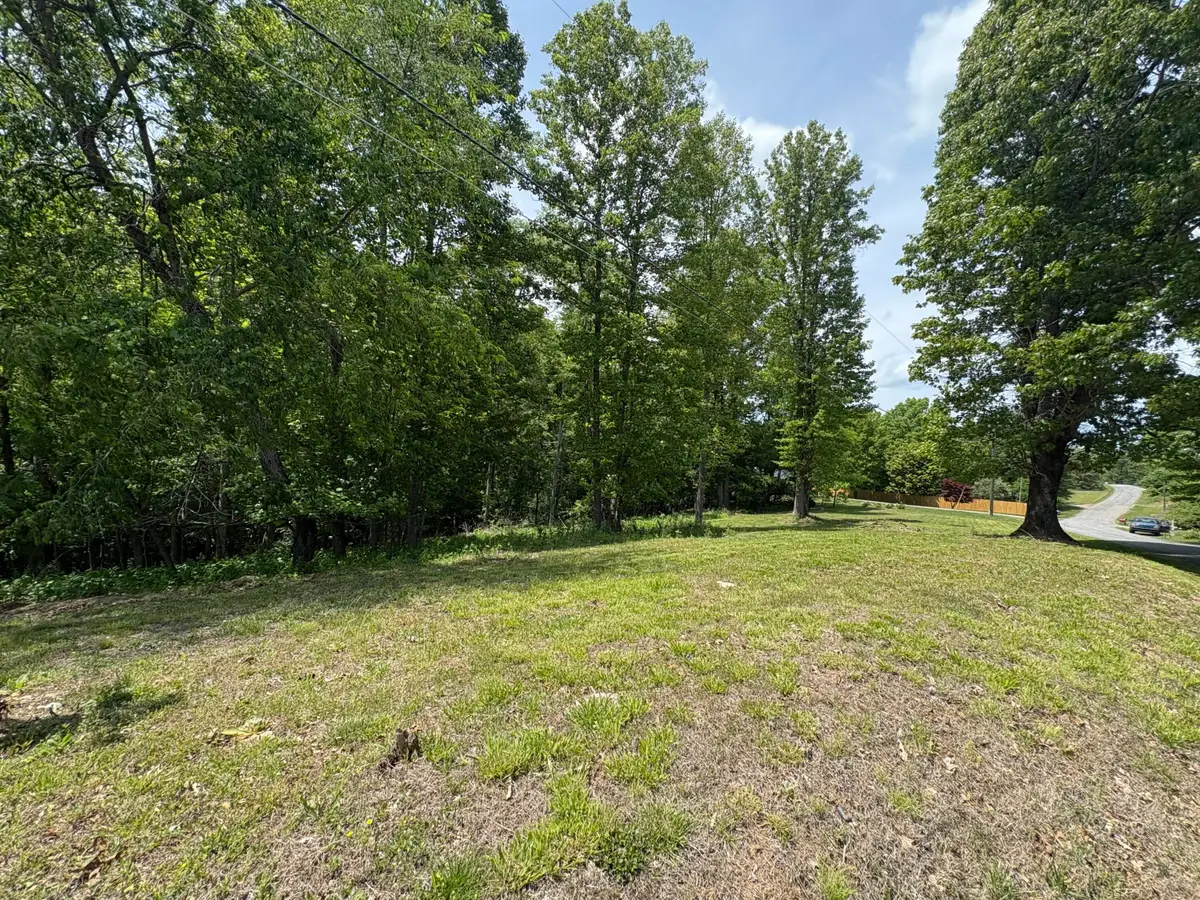 0 Mariah Dr, Fieldale, VA 24089 - #1