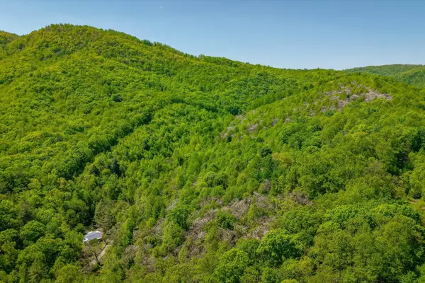 TBD Audrey Ln Blue Ridge, Va 24064, Blue Ridge, VA 24064