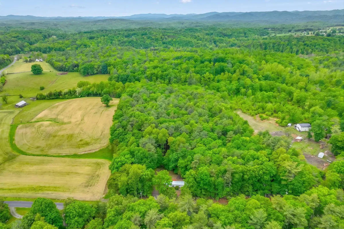183 Pernello Rd, Ferrum, VA 24088 - #1