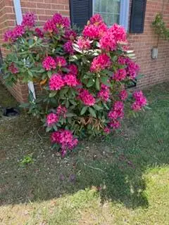 1344 S Main St, Rocky Mount, VA 24151 - #3