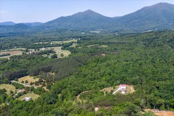 Tract 2 Foxfire Ln, Bedford, VA 24523