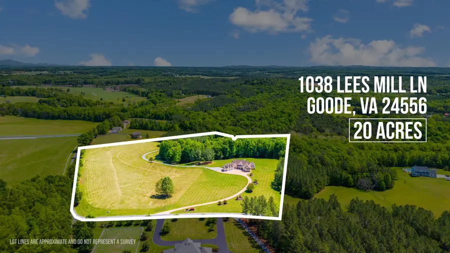 1038 Lees Mill Ln, Goode, VA 24556 - #3