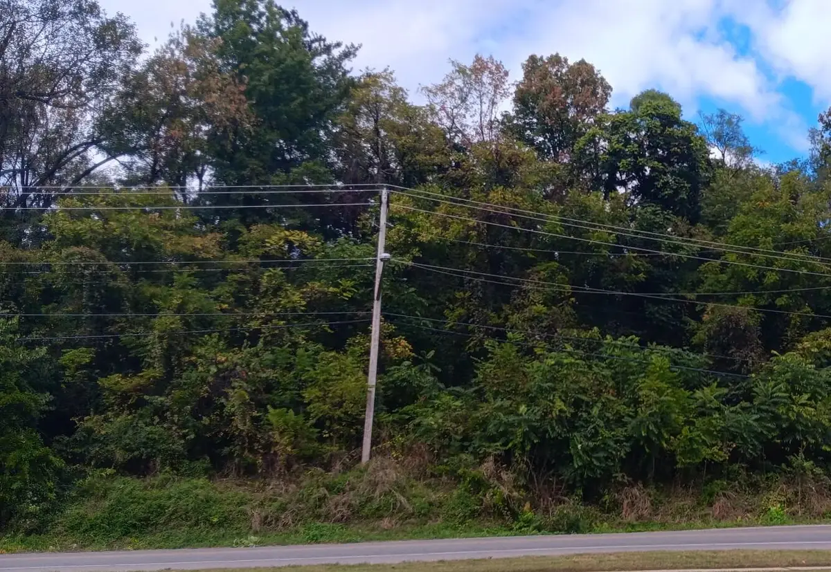 0 Brandon Ave Sw, Roanoke, VA 24015 - #1