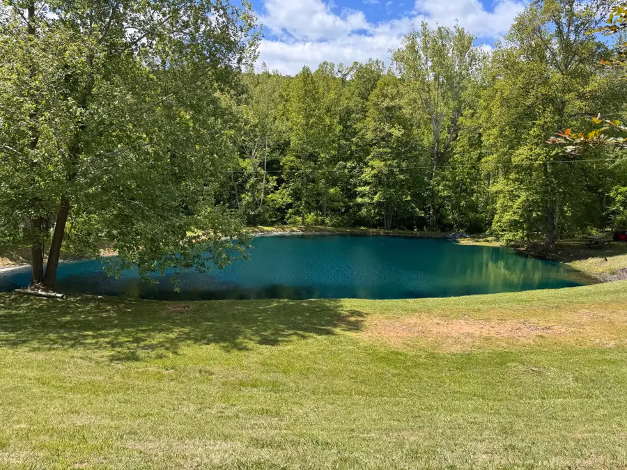 256 Goose Market, Stuart, VA 24171 - #2