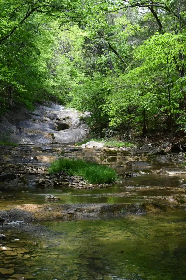 000 E Indian Rock Rd E, Buchanan, VA 24066