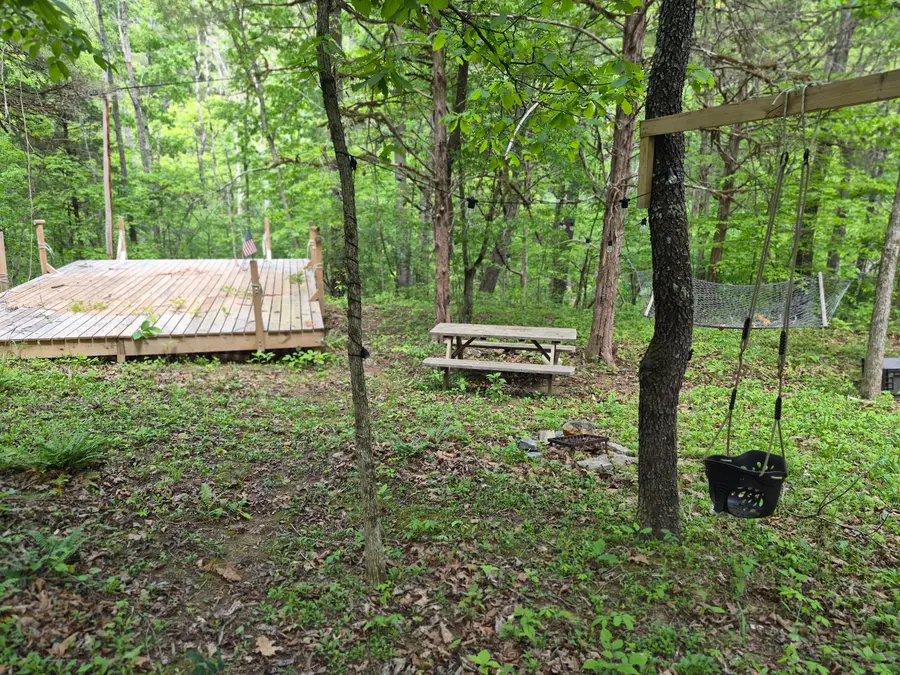 000 E Indian Rock Rd E, Buchanan, VA 24066 - #2