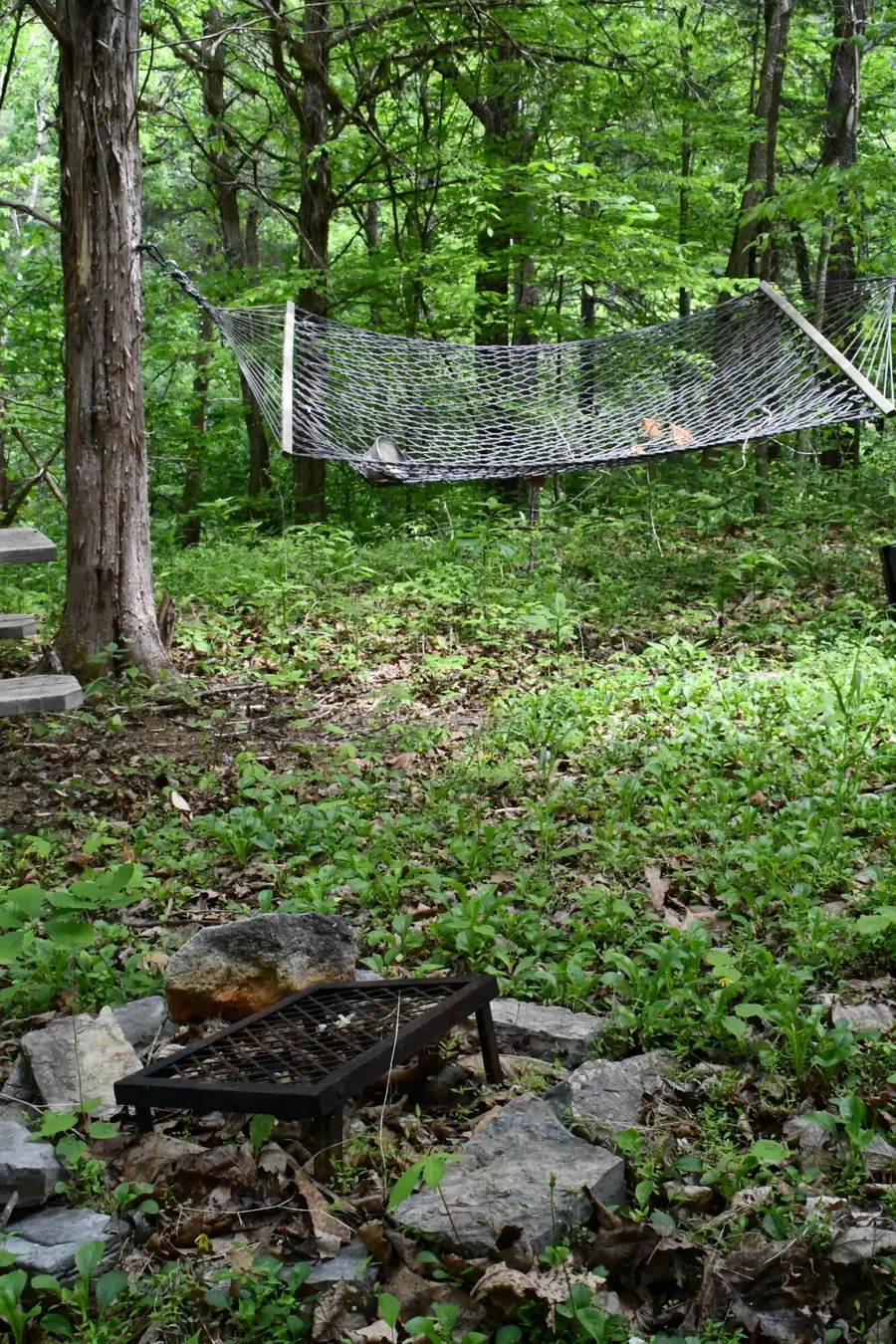 000 E Indian Rock Rd E, Buchanan, VA 24066 - #3