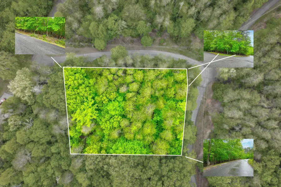 Lot 60 Old Barn Rd, Moneta, VA 24121 - #2