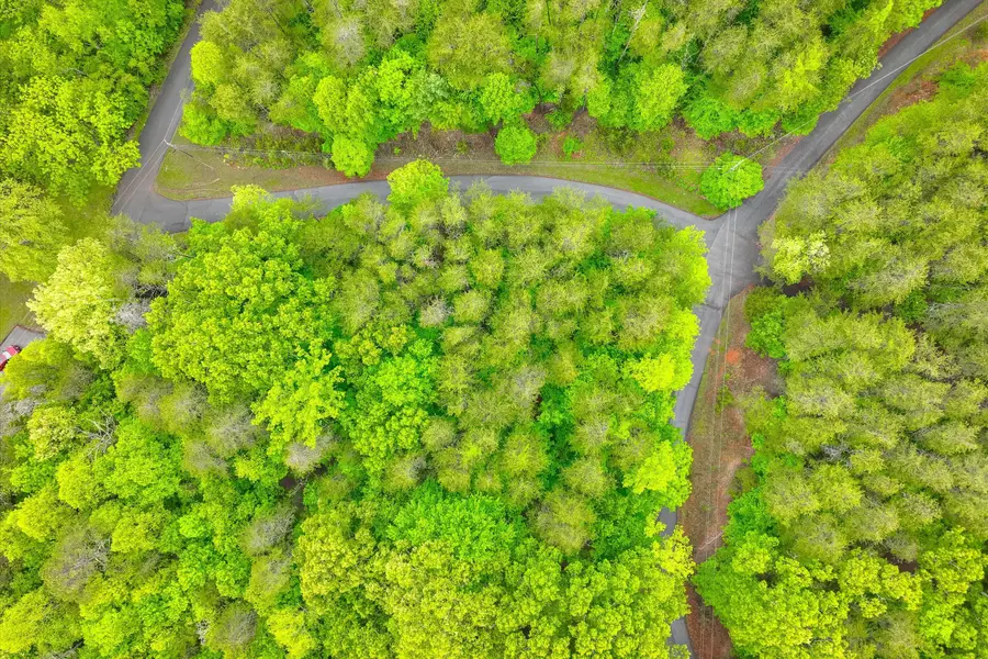 Lot 60 Old Barn Rd, Moneta, VA 24121 - #3