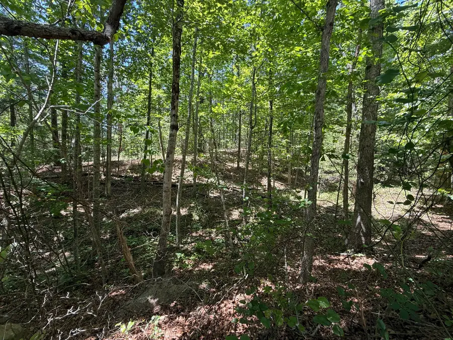3422 Carvins Cove Rd, Salem, VA 24153 - #2