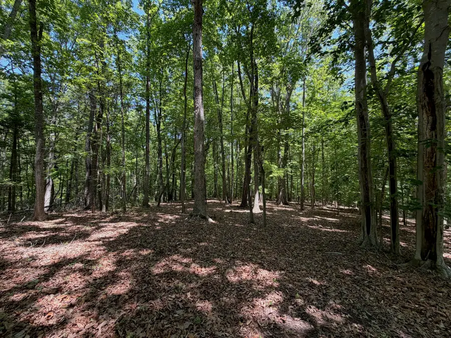 0 Dylan Ct, Pittsville, VA 24139 - #3