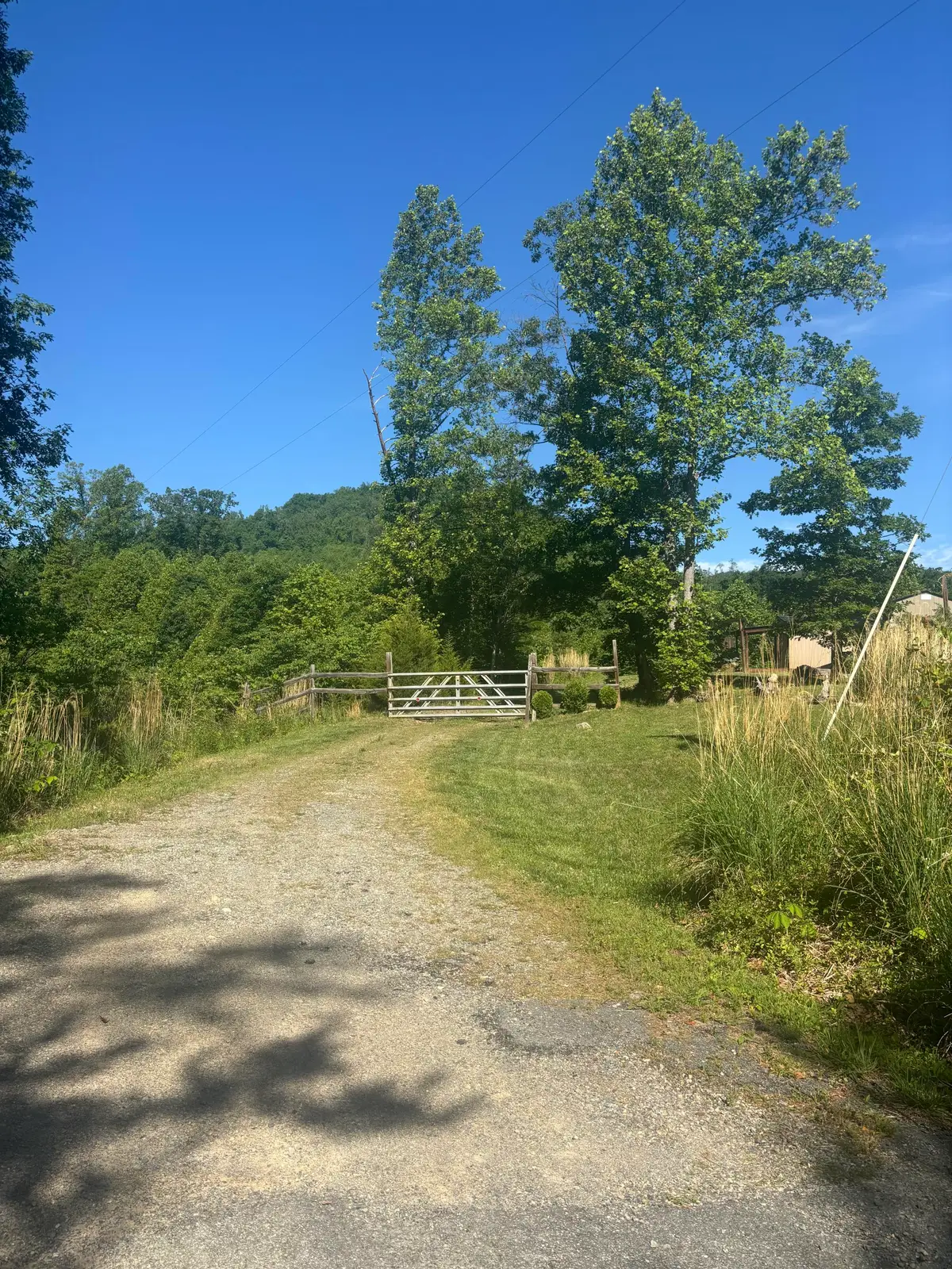 1107 Endicott Hill Rd, Ferrum, VA 24088 - #1
