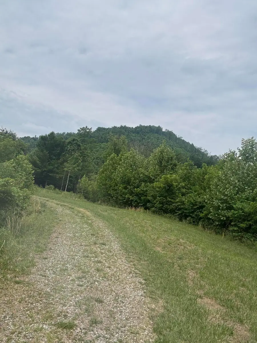 1107 Endicott Hill Rd, Ferrum, VA 24088 - #3
