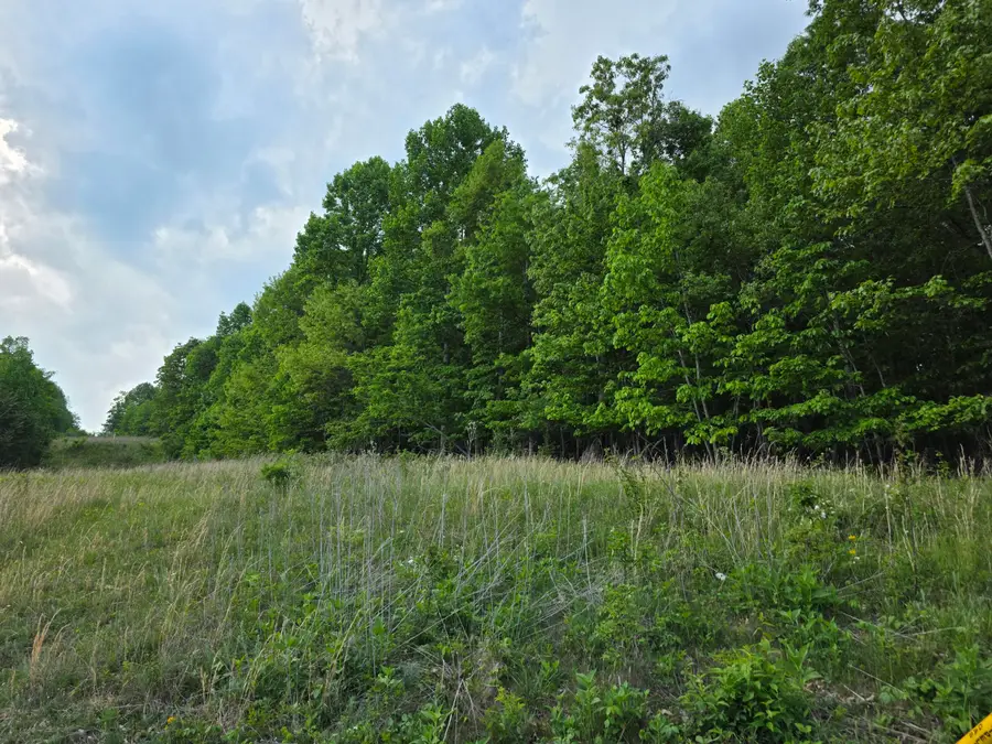 TBD Bent Nail Rd, Hillsville, VA 24343 - #2