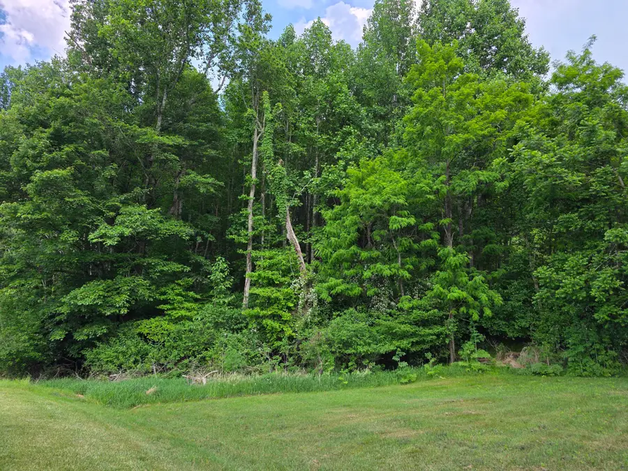 TBD Bent Nail Rd, Hillsville, VA 24343 - #3